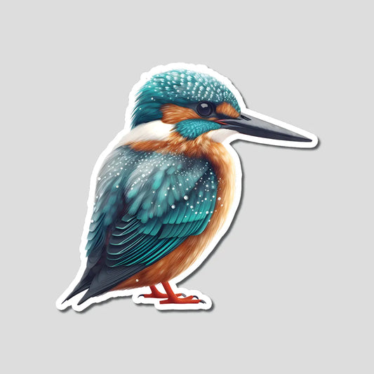 Cute Kingfisher